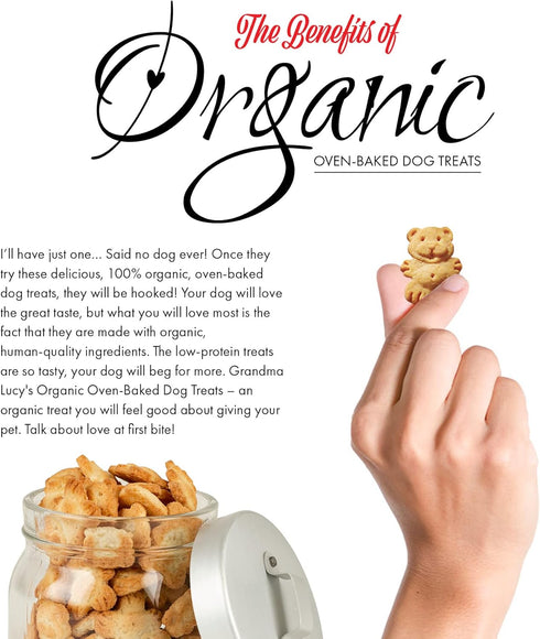 Grandma Lucy's Organic Oven Baked Dog Treats - Blueberry, 14 oz