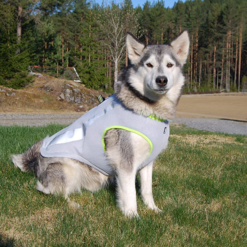 SGODA Large Dog Cooling Vest Harness Cooler Jacket in Grey Green