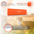 EasyGroomer Deshedding Brush for Dogs Cats | Orange | Undercoat Tool for Large and Small Pets