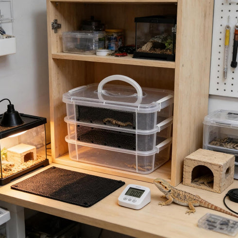 Genrico Flour Kennel | Transparent Breeding Habitat with Fine Mesh Flour Farm, for Reptiles, Birds, Opossums, Bearded