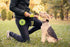 Premium Dog Treat Pouch - Training Treat Bag with Clicker, Collapsible Bowl, Adjustable Straps & Belt Clip for Dogs