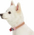 Blueberry Pet Sparkling Rhinestone Adjustable Dog Collar, Baby Pink, Neck 9-12.5", for Small Breed Dogs