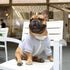 iChoue English Bulldog Clothes Hoodies for Dogs – French Frenchie Pug English Boston Terrier Bully Pitbull Corgi