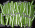 High Visibility Reflective Wristbands & Ankle Bands - Safety Gear for Night Running, Walking, Cycling, Camping