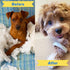 4 Pack, 0-6 Puppy Teething Rings - Bracelet Food Grade Silicone Chew Toys for Small Dogs-Medium Dog, Puppy Nipping