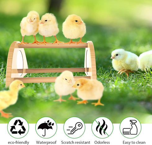 Mini Chick Perch with Mirror, Strong Bamboo Roosting Bar for Coop and Brooder, Training Perch for Baby Chicks, Easy to