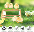 Mini Chick Perch with Mirror, Strong Bamboo Roosting Bar for Coop and Brooder, Training Perch for Baby Chicks, Easy to