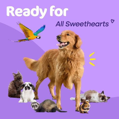 Sunny & Honey Pet Stain & Odor Miracle - Enzyme Cleaner for Dog Urine, Cat Pee, Stain Eliminator