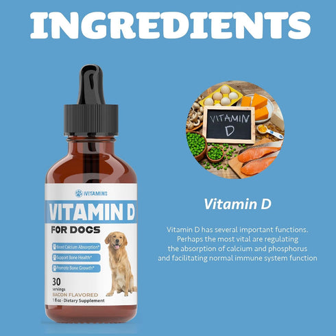 Vitamin D for Dogs, Supports Strong Bones, Dog Vitamins and Supplements, 1 fl oz