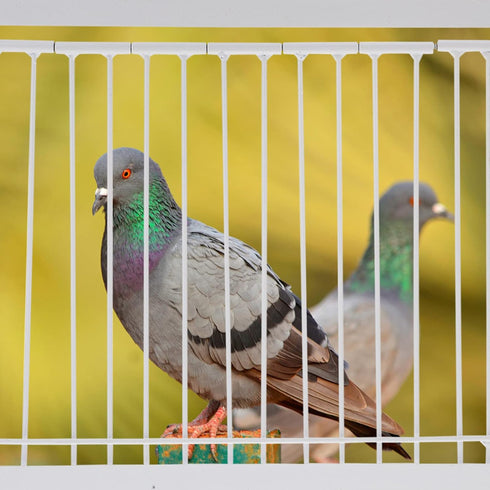1Pc Pigeon Door, Iron Birdcage T-House Door, Bird Entrance Door for Pet Bird Supplies, 30x26cm