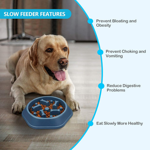 UPSKY Slow Feeder Dog Bowl, Anti-Choking Slower Feeding Pet Puzzle Bowls, Interactive Bloat Stop Dog Food Dishes for