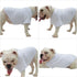 Lovelonglong Pet Clothing Basic Blank T-Shirt Tee for Small Dogs - White, Size L