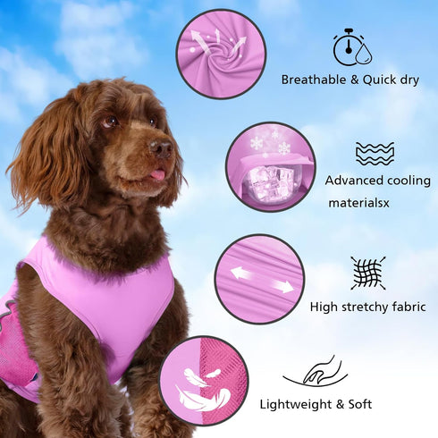 2 Pack UPF 50+ Sun Protection Dog Shirt,Sports Fan Pet T-Shirts for Small Dogs Girl, Lightweight Dog Tshirts with Reflective Strip Sleeveless Puppy Vest Pet Supplies Cat Apparel P23ST00504S