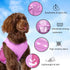 2 Pack UPF 50+ Sun Protection Dog Shirt,Sports Fan Pet T-Shirts for Small Dogs Girl, Lightweight Dog Tshirts with Reflective Strip Sleeveless Puppy Vest Pet Supplies Cat Apparel P23ST00504S