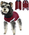 Recovery Suit for Dogs, Pet Recovery Suit After Surgery, Male Female Dog Neuter, Striped Abdominal Surgical Suit,