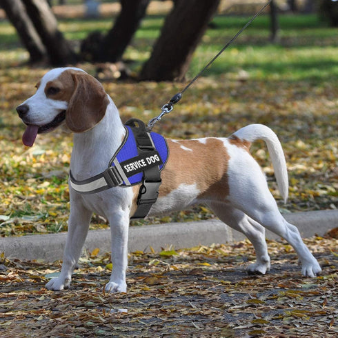 Dog Harness, No-Pull Service Dog Vest with Handle, Adjustable 3M Reflective Nylon Material for Small Medium Large Dogs