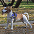 Dog Harness, No-Pull Service Dog Vest with Handle, Adjustable 3M Reflective Nylon Material for Small Medium Large Dogs