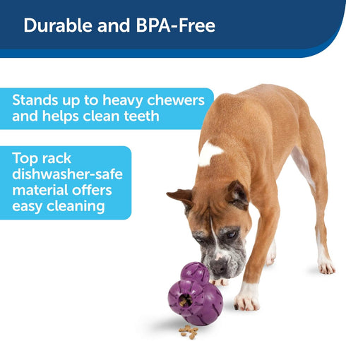 PetSafe Busy Buddy Barnacle - Treat Dispensing Dog Chew Toy