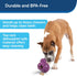 PetSafe Busy Buddy Barnacle - Treat Dispensing Dog Chew Toy