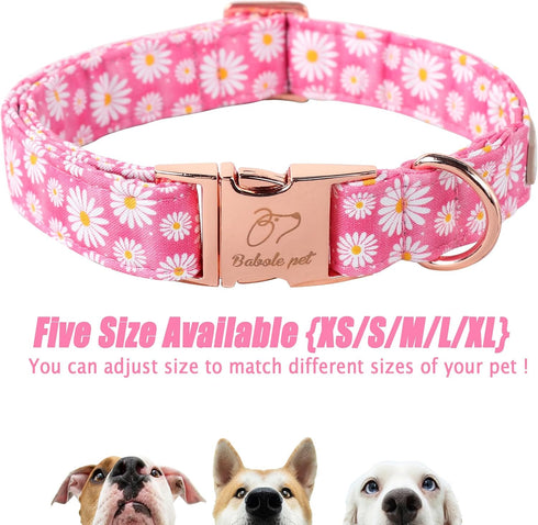 Summer Pink Daisy Flower Dog Collar with Safety Metal Buckle, Adjustable for Small Medium Large Dogs, Gift for Boys &
