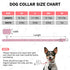 Leather Dog Collar for Puppy Small Medium Dogs, Adjustable Star and Moon Studded Pet Collars with Rust-Proof Metal