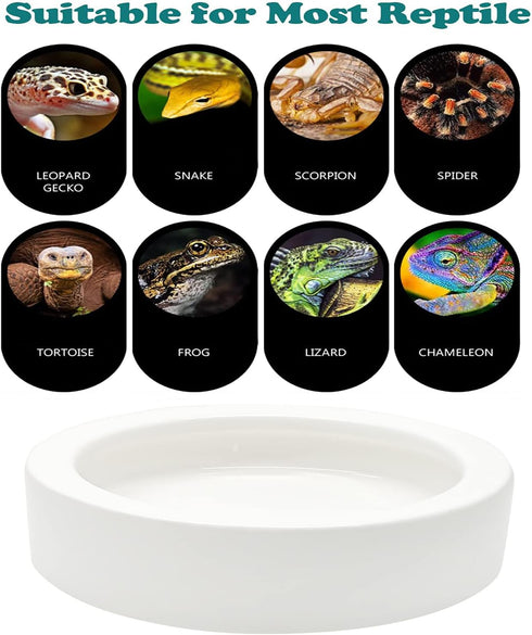 3 Pcs Ceramic Reptile Food Bowl, Triangular Water Feeder for Lizard, Anoles, Bearded Dragons, Hermit Crabs