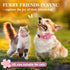BiPawTi Medium Dog Collar, Pink Flower with Bloom Decoration, Soft Floral Girly Collar for Summer Dogs (M)