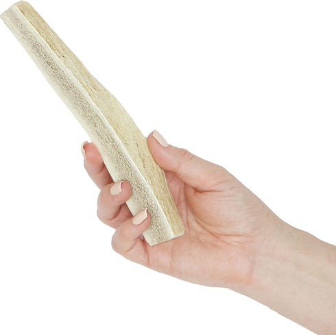 Prairie Dog Elk Antler Chew, Naturally Shed, Hand Harvested in North America, Large