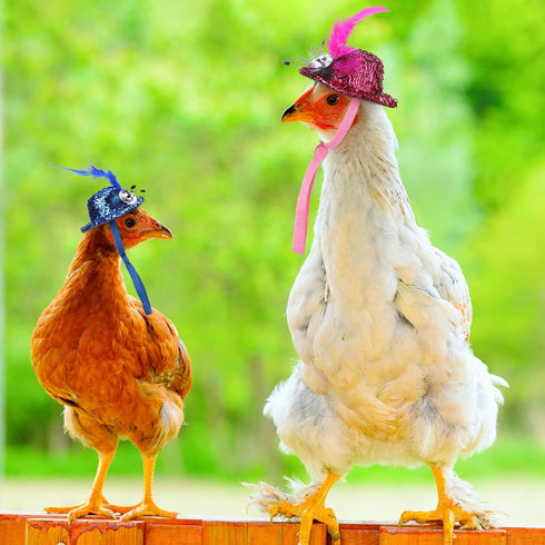 9 Pcs Chicken Harness with Leash and Hats Set, Funny Accessories for Hens, Duck, Goose, Parrot, Adjustable Training