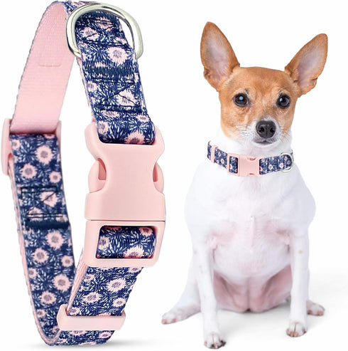 Parisian Pet Dog Collar, Adjustable “Midnight Blossoms” Pattern Collar for Female Puppies, Comfortable Nylon for Small