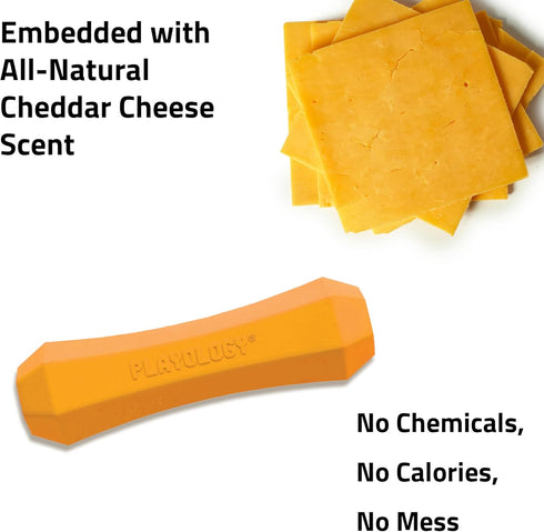 Playology Squeaky Dog Toy Fetch Stick, Durable Rubber Toys for Medium Dogs, Cheddar Cheese Scented Floating Toy