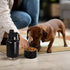 AGH Dog Water Bottle, 32oz Portable Bottle with Detachable Bowl for Food Feeding, Stainless Steel for Travel (Black)