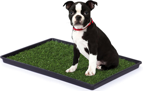 Prevue Pet Products Tinkle Turf Indoor Portable Pee Turf Patch for Dogs - Realistic Grass Potty Pad, Washable