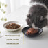 Ceramic Cat Food Bowl Set - 4 Pack Healthy Wide Shallow Dishes for Food and Water, Anti Whisker Fatigue Feeding Bowls