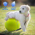 Giant 9.5" Dog Tennis Ball, Large Pet Toys for Small Medium Large Dogs with Inflating Needles