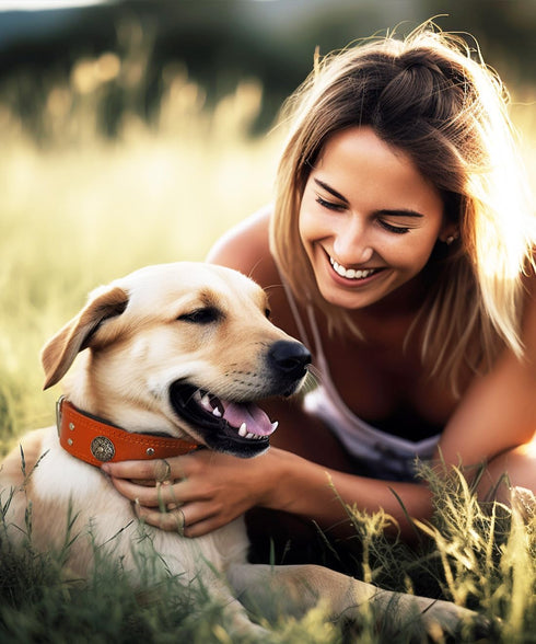Heavy Duty Genuine Leather Dog Collar, 2 inches Wide, Handmade, Soft, Luxury, Best for Large Medium Dogs, Orange