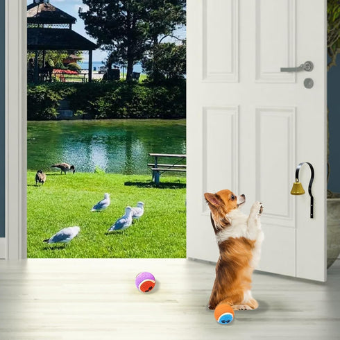 Flylin 2Pcs Housebreaking/Housetraining Metal Dog Doorbell, Shopkeepers Doggy Training Bell Wall Mounted for Home