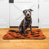 Happy Halloween Dog Bed Mat - Ultra Soft Pet Bed Mattress for Small Dog Puppy Cat Kitten, Anti-Slip Washable, Orange