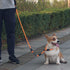 Dog Slip Collar, No Pull Choker Collar for Dogs, Adjustable Martingale Collar for Small Medium Large Dogs