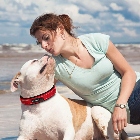 PetiFine Neoprene Padded Dog Collar - Heavy Duty Comfort Collar with Durable Metal Buckle, Reflective for Small Medium