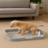 Generic 21.6" 17.7" Dog Training Pad Tray Reusable Indoor Puppy Potty Tray, Easy to Clean Pee Pad Holder, x
