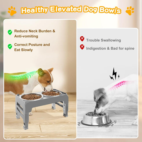 Elevated Dog Bowls for Small Medium Dogs, 3 Height Adjustable Stand with 2 Thick 6" Stainless Steel Bowls