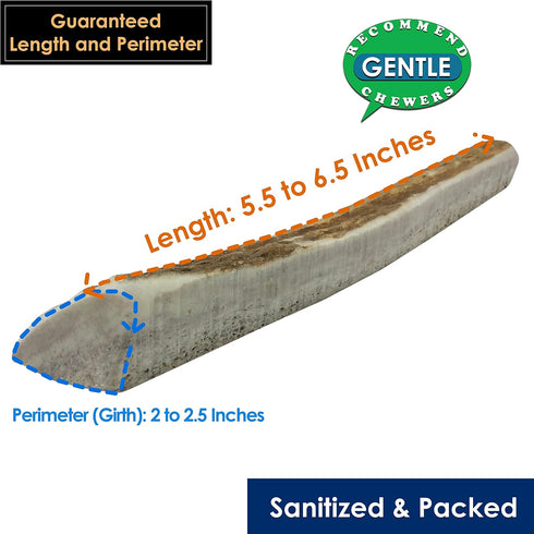 Elk Antler Chews for Dogs | Naturally Shed USA Collected Elk Antlers | All Natural A-Grade Premium Elk Antler Dog Chews