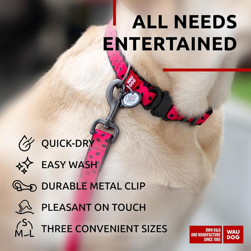 WAUDOG Nylon Dog Leash for Small and Medium Dogs, 4 Ft, Heavy Duty Dog Leashes for Large Breed Dogs & Puppy Leash