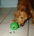 Interactive Chew Ball for Dogs - Large Size