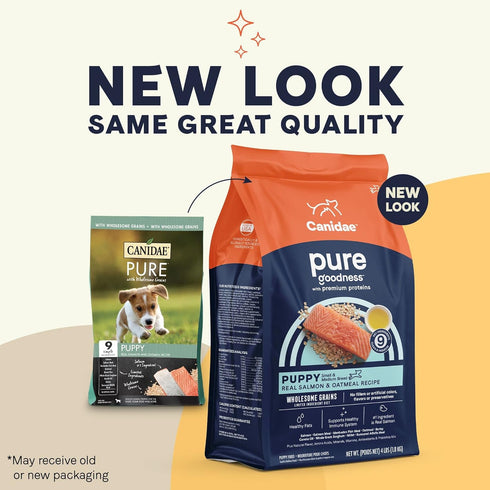 CANIDAE Pure Dry Puppy Food with Wholesome Grains, Real Salmon & Oatmeal, 4 lbs