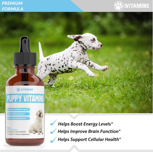 Puppy Vitamins, Liquid Puppy Supplements for Small Dogs, Large Breed Multivitamin, Bacon Flavor, 1 fl oz