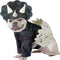 Small Dog Dino Pup Costume