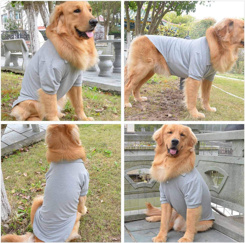 lovelonglong Basic Dog Polo Shirts Premium Cotton, Polo T-Shirts for Large Medium Small Dogs with Two-Button Collar,