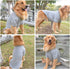 lovelonglong Basic Dog Polo Shirts Premium Cotton, Polo T-Shirts for Large Medium Small Dogs with Two-Button Collar,